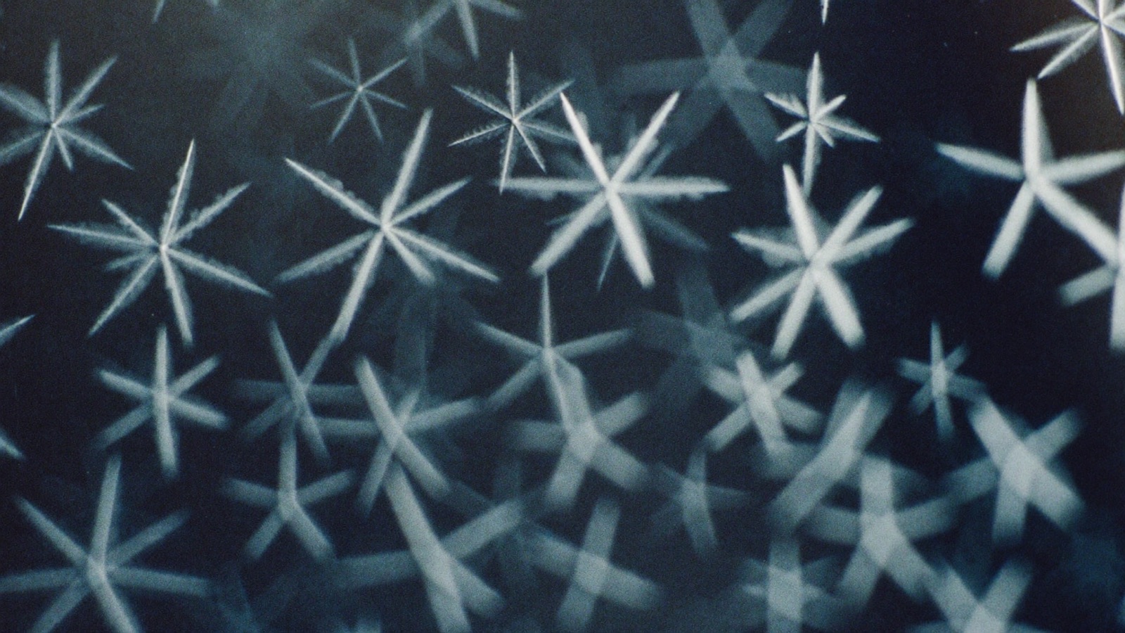 Frost crystals on dark glass